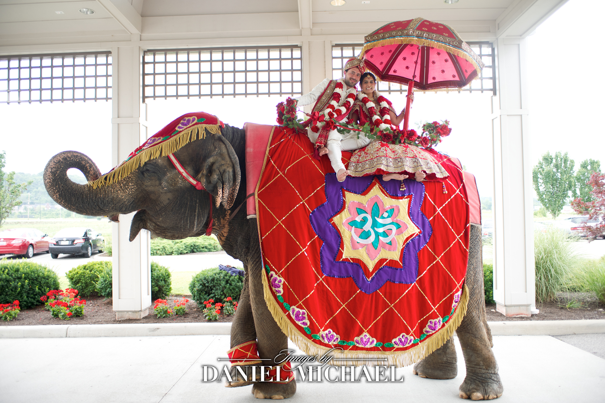 South Asian Wedding With Elephant Processiona in Cincinnati